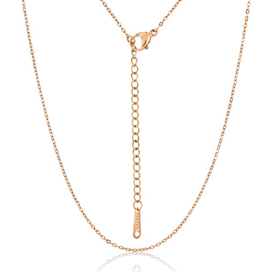 18K Rose Gold Plated Surgical Steel Necklace