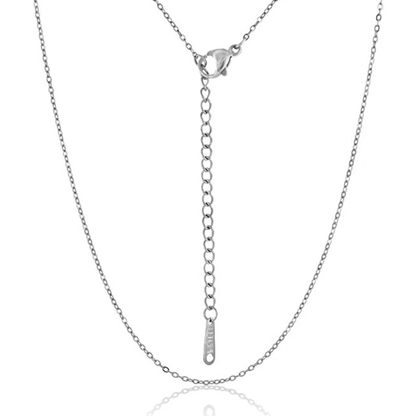 18K Silver Plated Surgical Steel Necklace